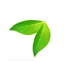 about shape